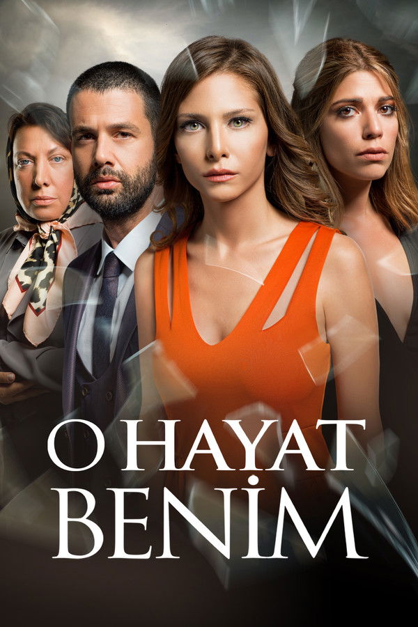 Me robó mi vida (2014)